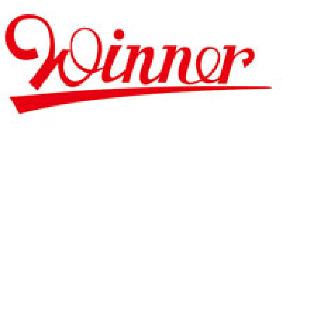 Winner hydraulic valves